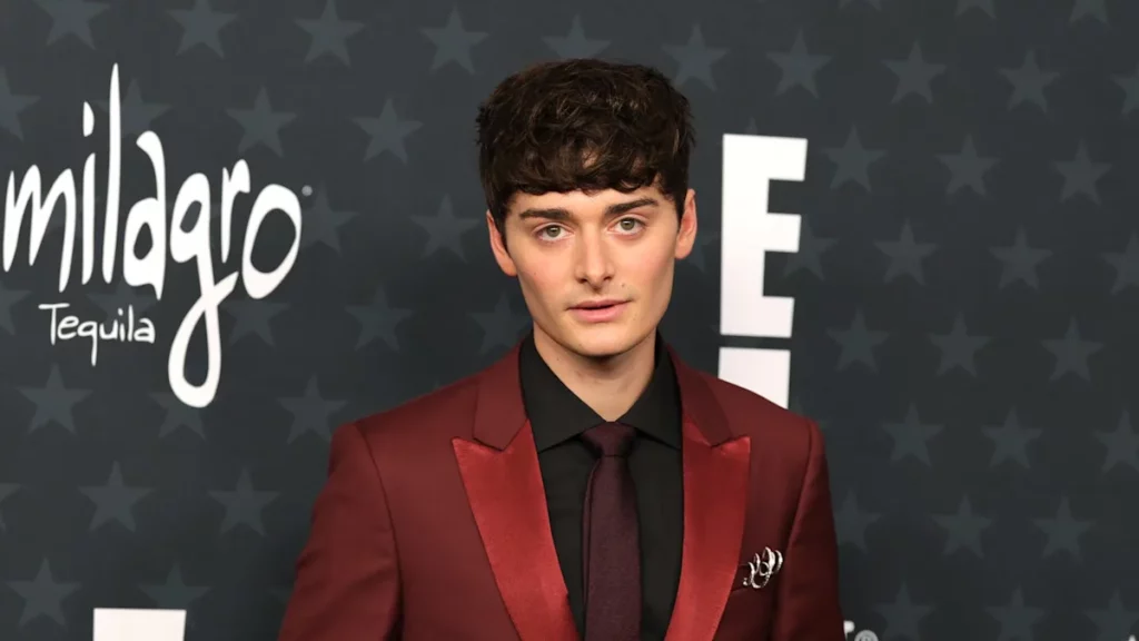 noah schnapp movies and tv shows 2026