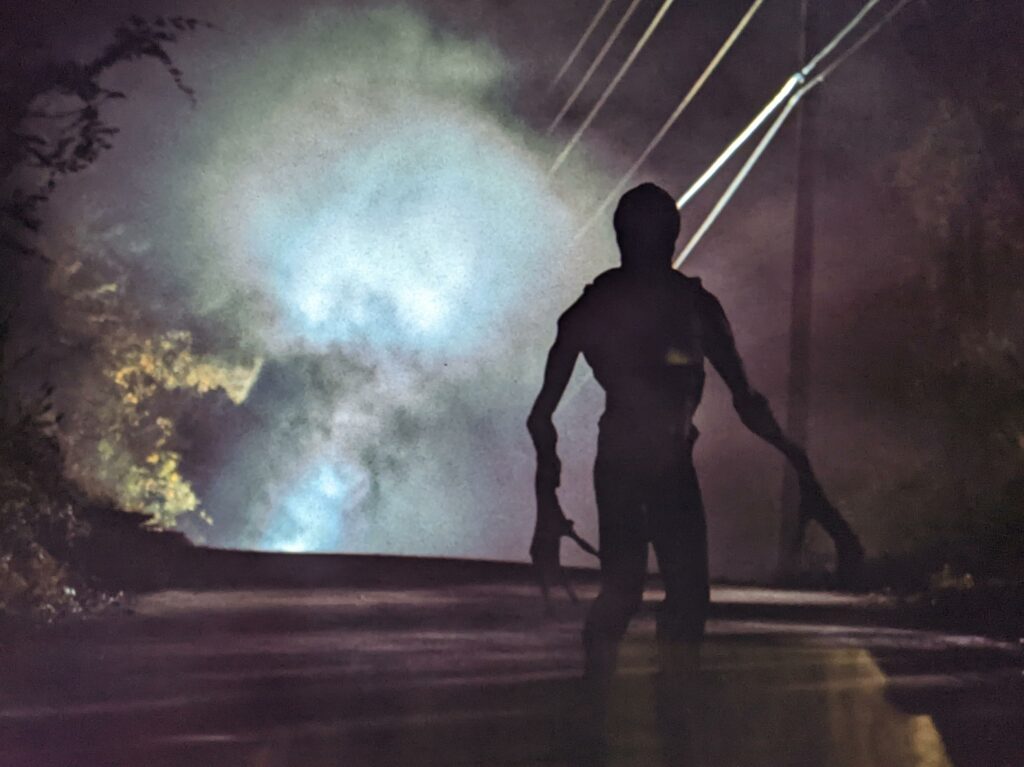 Viral Theory Says Demogorgon Was After Eleven, Not Will in Season 1