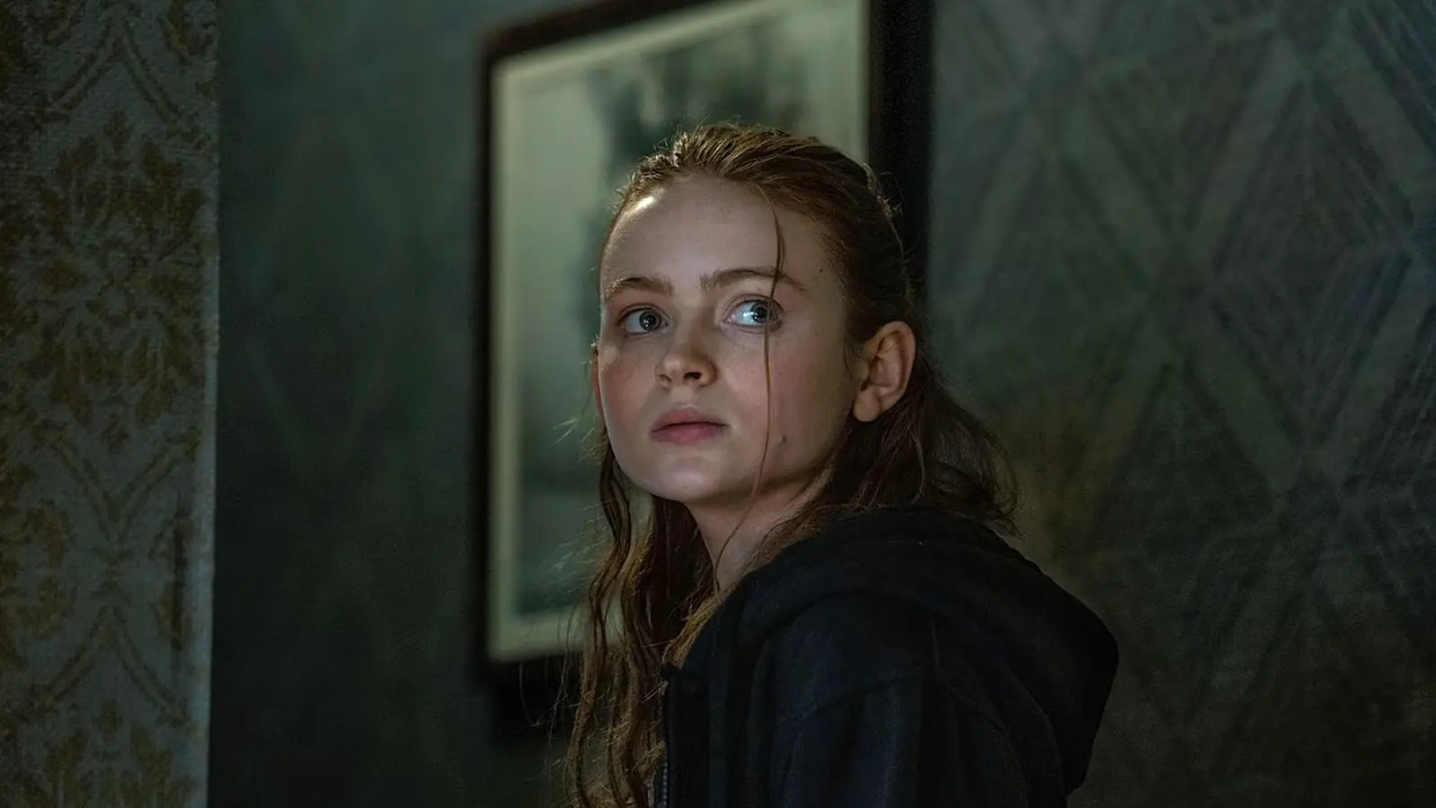 Sadie Sink Movies and TV Shows: The Complete Guide (2026) sadie sink the whale